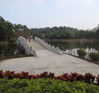 Mt. Jinshan Forest Park