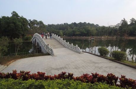 Mt. Jinshan Forest Park