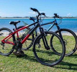 Cheap As Bike Rentals