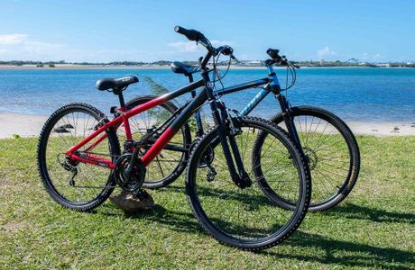 Cheap As Bike Rentals