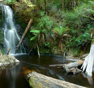 Hogarth Falls