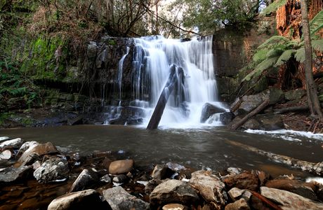 Lilydale Falls