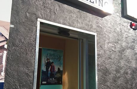 Pivotonian Cinema