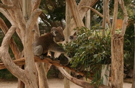 Urimbirra Wildlife Park