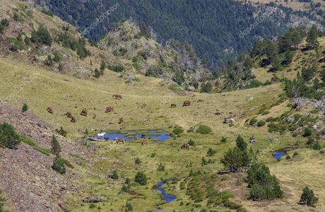 Comapedrosa Highlands Trail