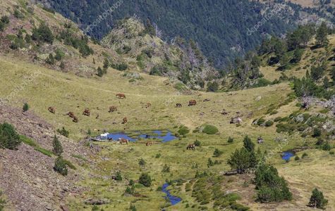 Comapedrosa Highlands Trail 1