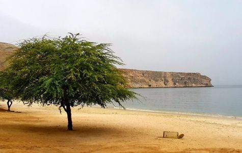 Praia da Baía Azul 1