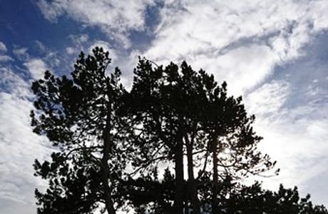 Mirador Coll de la Botella