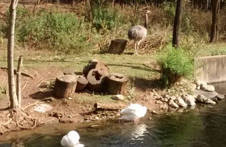 La Granja de la Infancia