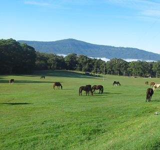 Man from Kangaroo Valley Trail Ride