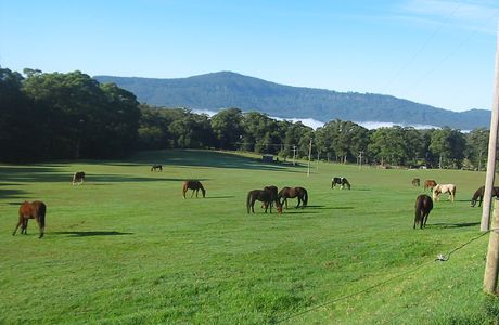 Man from Kangaroo Valley Trail Ride