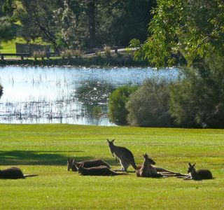 Kangaroo Valley Collections