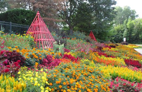 Orange Botanic Gardens
