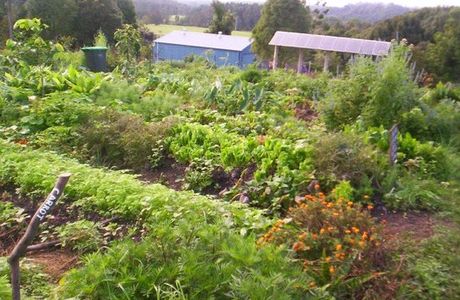 Northbank Community Garden