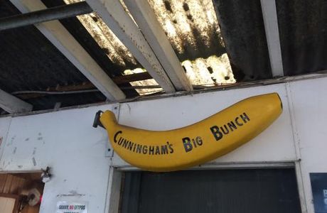 Cunninghams Big Bunch