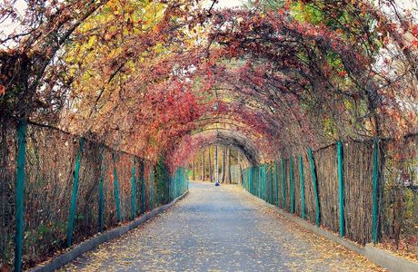 Yerevan Botanical Garden