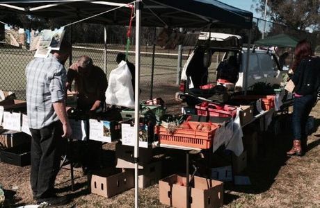 Denman Farmers Market & Artisans Market