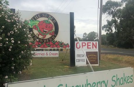 The Super Strawberry