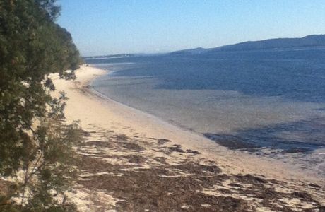 Bagnalls Beach Reserve