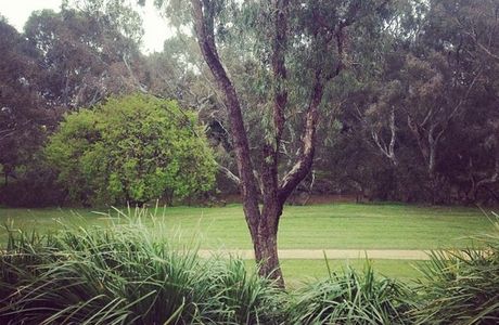 Riverbank Playground