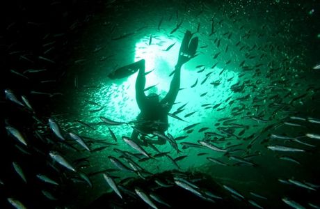 Mermaid's Lair