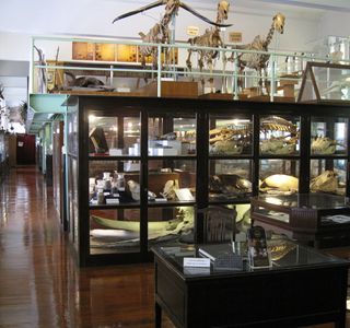 Museum Of Local History