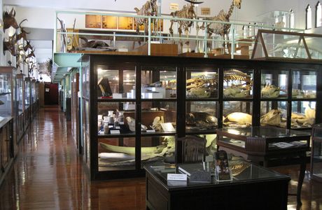 Museum Of Local History