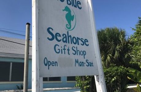 The Blue Seahorse Gift Shop