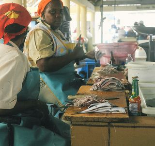The Bridgetown Fish Market