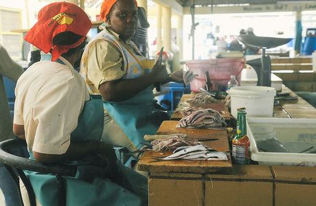 The Bridgetown Fish Market