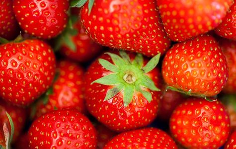 Küppers Erdbeeren 1