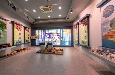 Alexandroupolis Natural History Museum