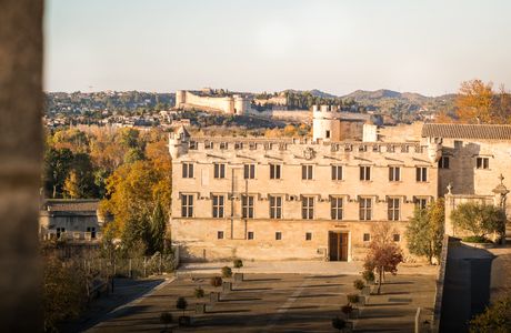 Musee du Petit Palais