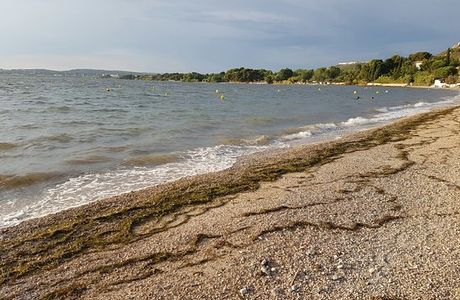 La plage des Marettes