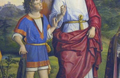 Lignes Pures Institute