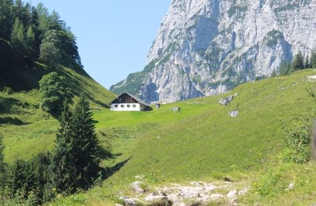 Halsalm
