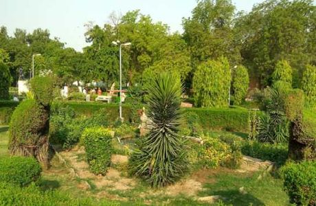 Masuriya Hill Garden