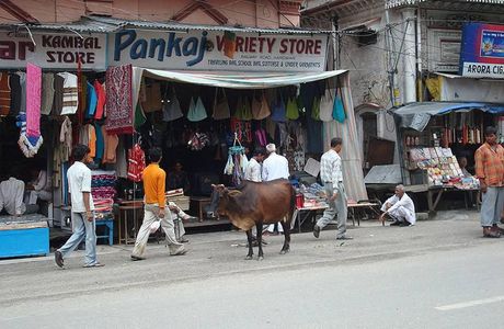 Moti Bazaar