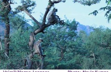 Kaimoor Wildlife Sanctuary