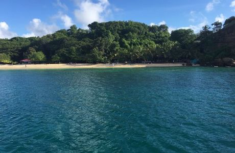 Caribbean Horizons - Rentals, Tours & Services