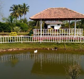 Nature First Eco Village