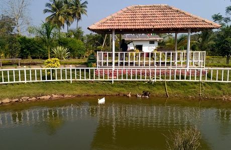 Nature First Eco Village