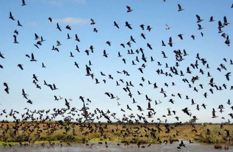 Karera Bird Sanctuary