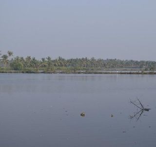 Matsyafed Fish Farm