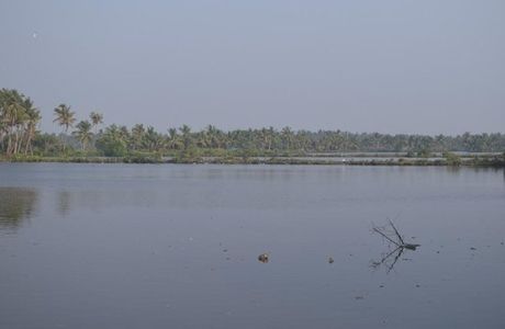 Matsyafed Fish Farm