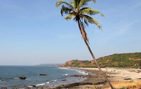 Vagator Beach 1