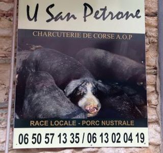 U San Petrone