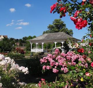 Roseraie Saverne