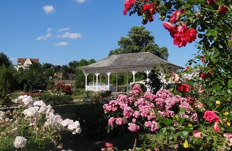 Roseraie Saverne