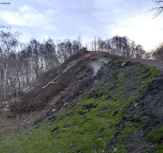 Halda Ema